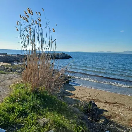 европа юг Campingplads